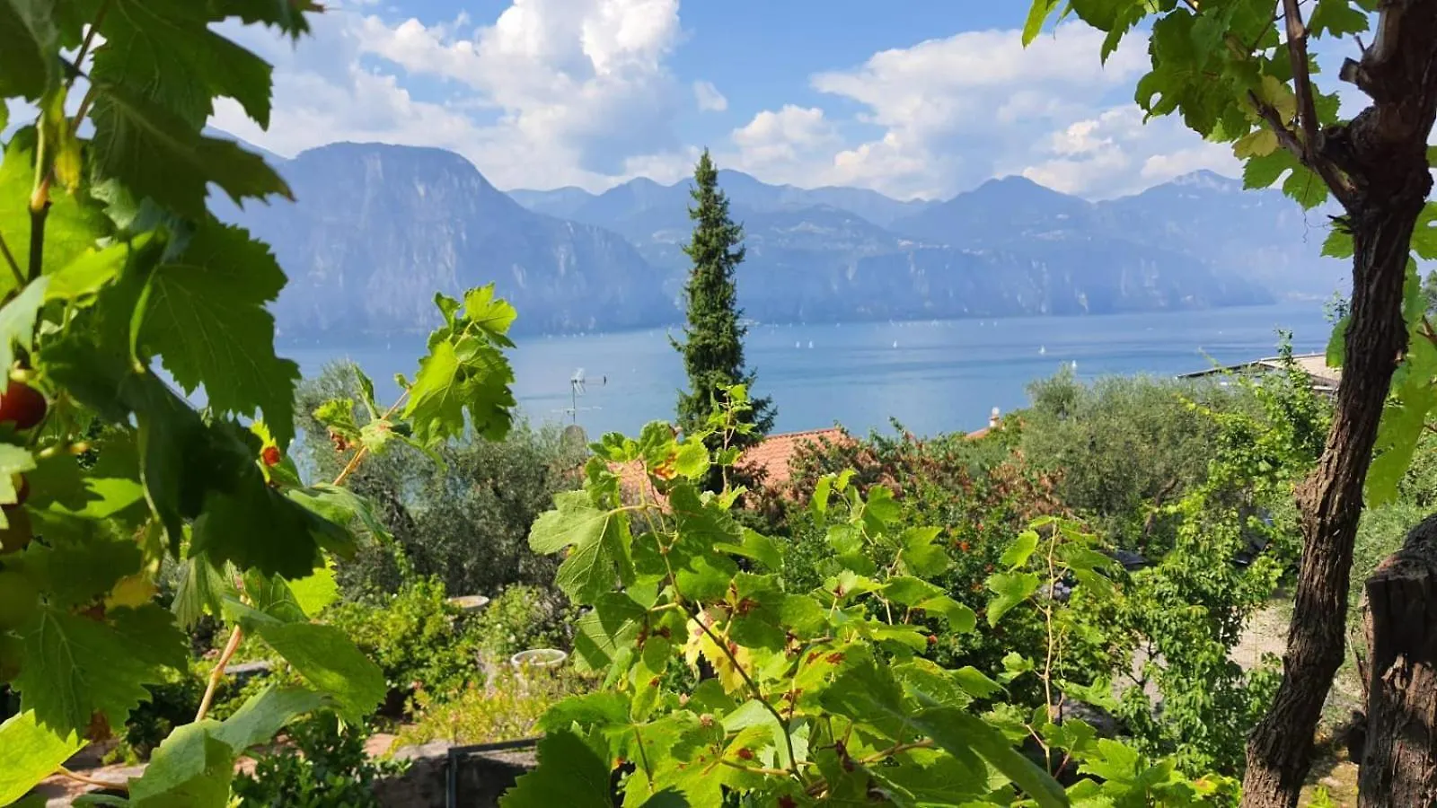 Point Of View Daire Brenzone sul Garda
